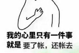 呼伦贝尔债务清欠服务